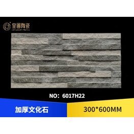 <b>藝術(shù)文化石 6017H22</b>