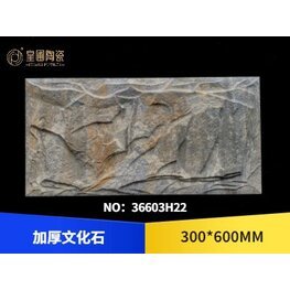 <b>藝術(shù)文化石 36603H22</b>