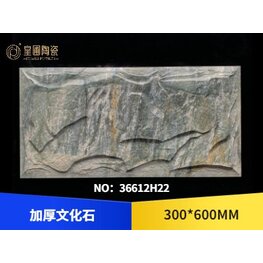 <b>藝術(shù)文化石 36612H22</b>