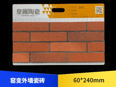 窯變外墻瓷磚 60*240 6201