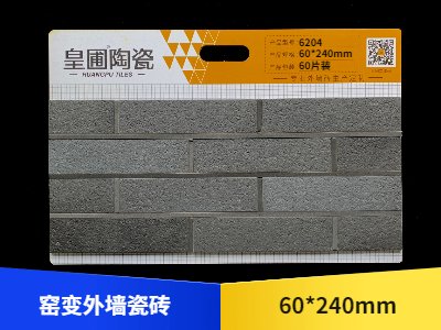 窯變外墻瓷磚 60*240 6204