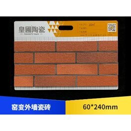 窯變外墻瓷磚 60*240 6201