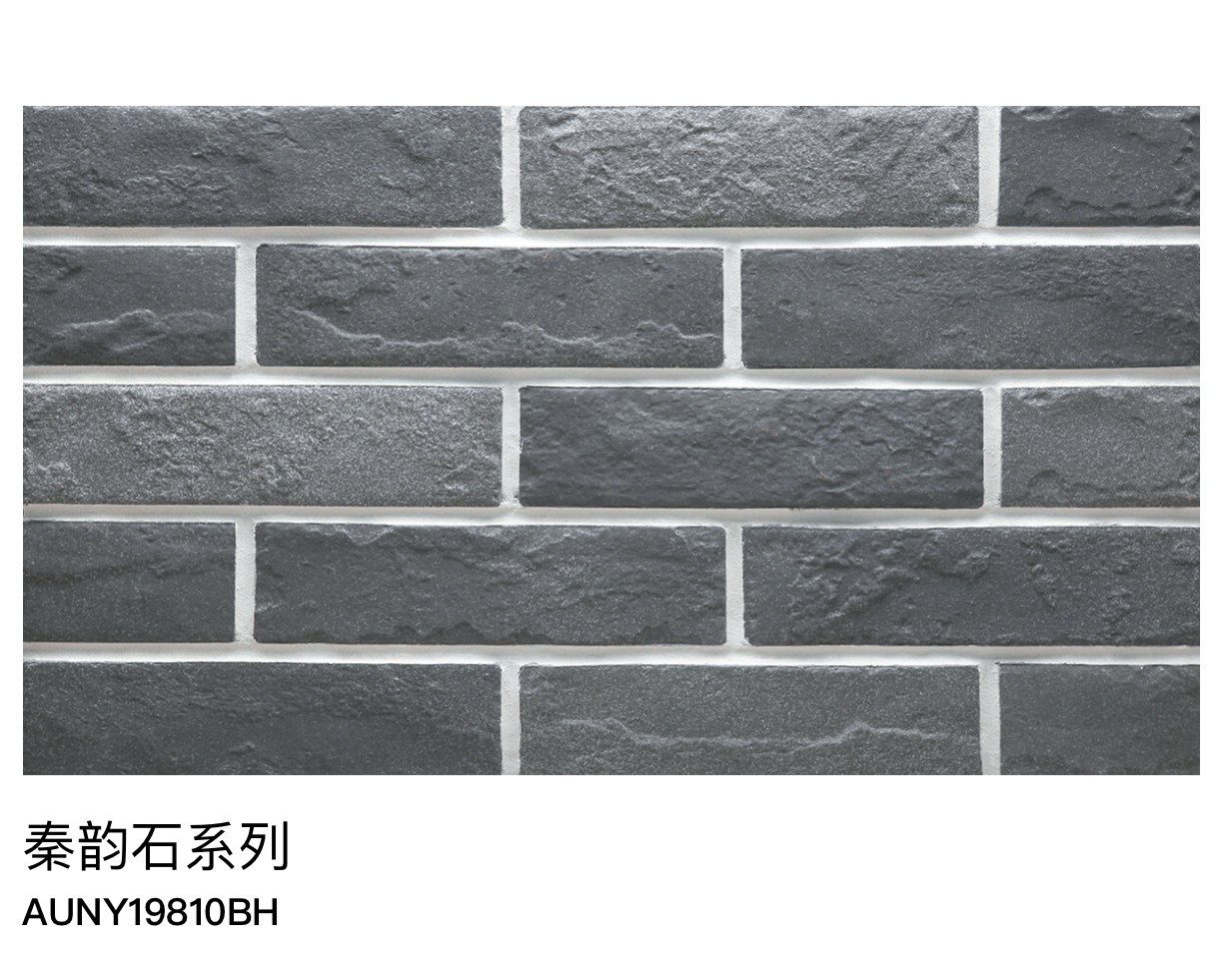 秦韻石系列19810BH
